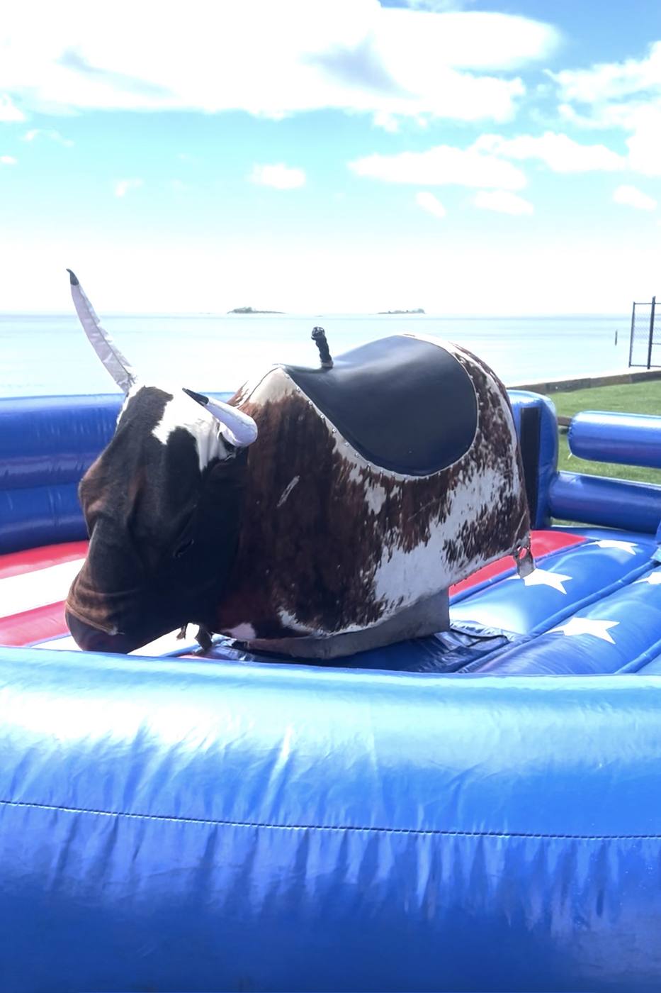 Mechanical bull rental