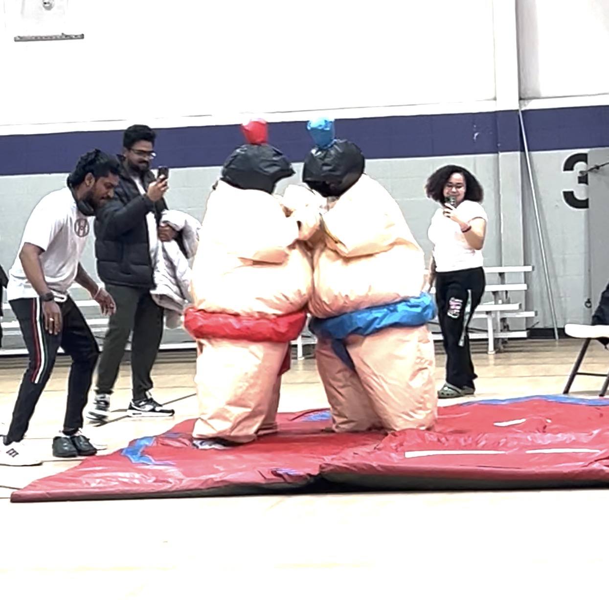 Sumo suits game